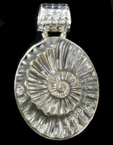 Pyrite Ammonite Fossil Pendant - Sterling Silver #37969